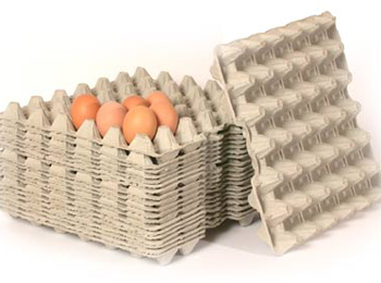 paper egg tray