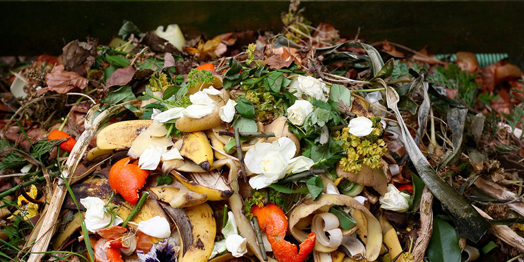 food waste